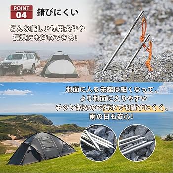 ワークマン チタンペグ 25cm 22本 キャンプ テント タープ ペグ