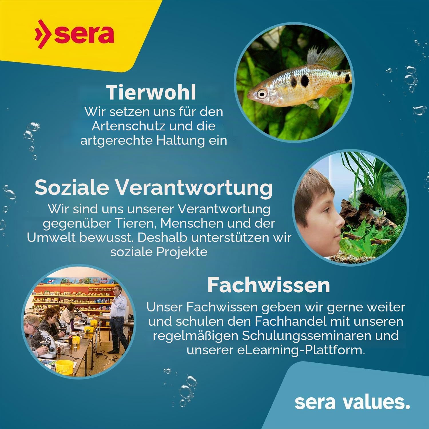 sera Pond Sticks Fischfutter 21 L (3,5 kg) | Fischfutter Teich für große Teichfische | Hochwertiges Goldfischfutter & Koi Futter | Schwimmend, Lange formstabil und leicht verdaulich | Teichfutter