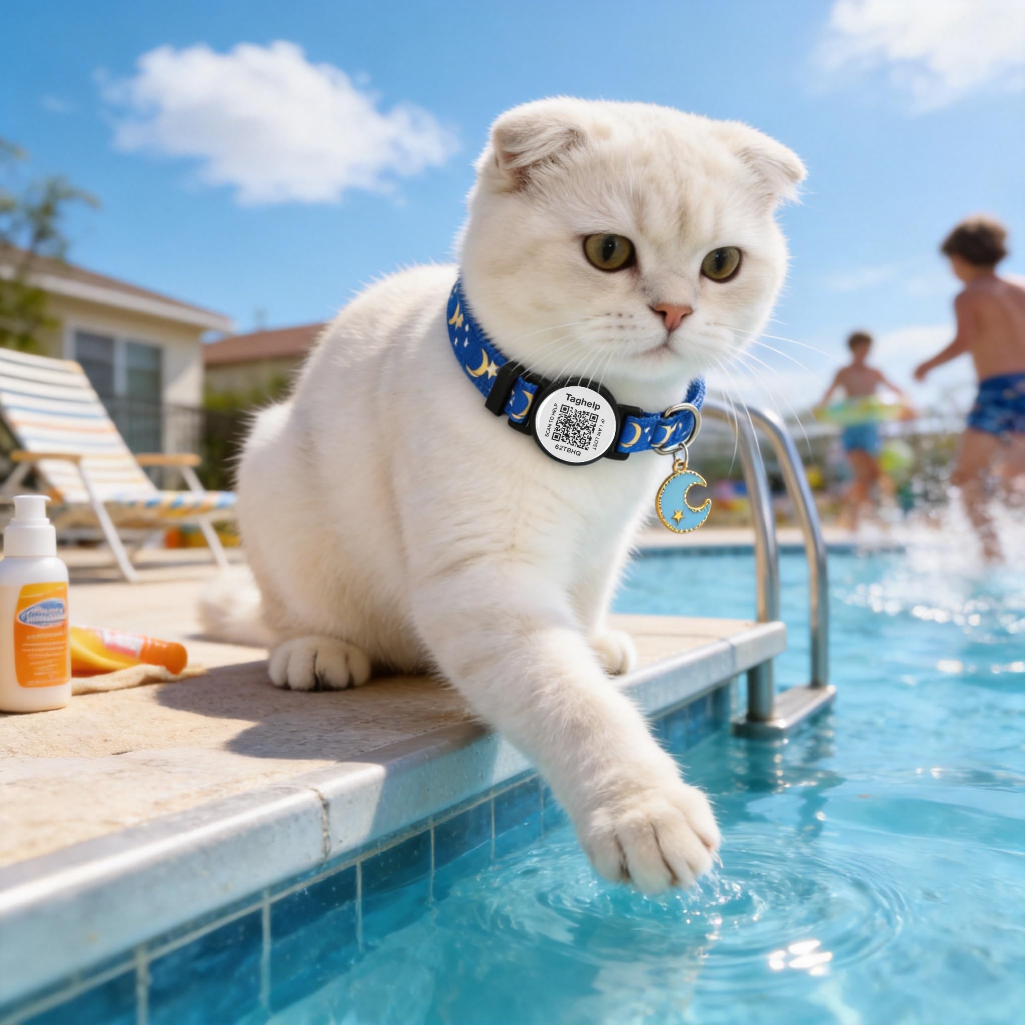 Collares de seguridad sólidos y seguros para gatitos con etiqueta de identificación QR para gatos y niñas, collar de mascotas, collar de gato, silencioso, ligero y duradero con código QR (negro y