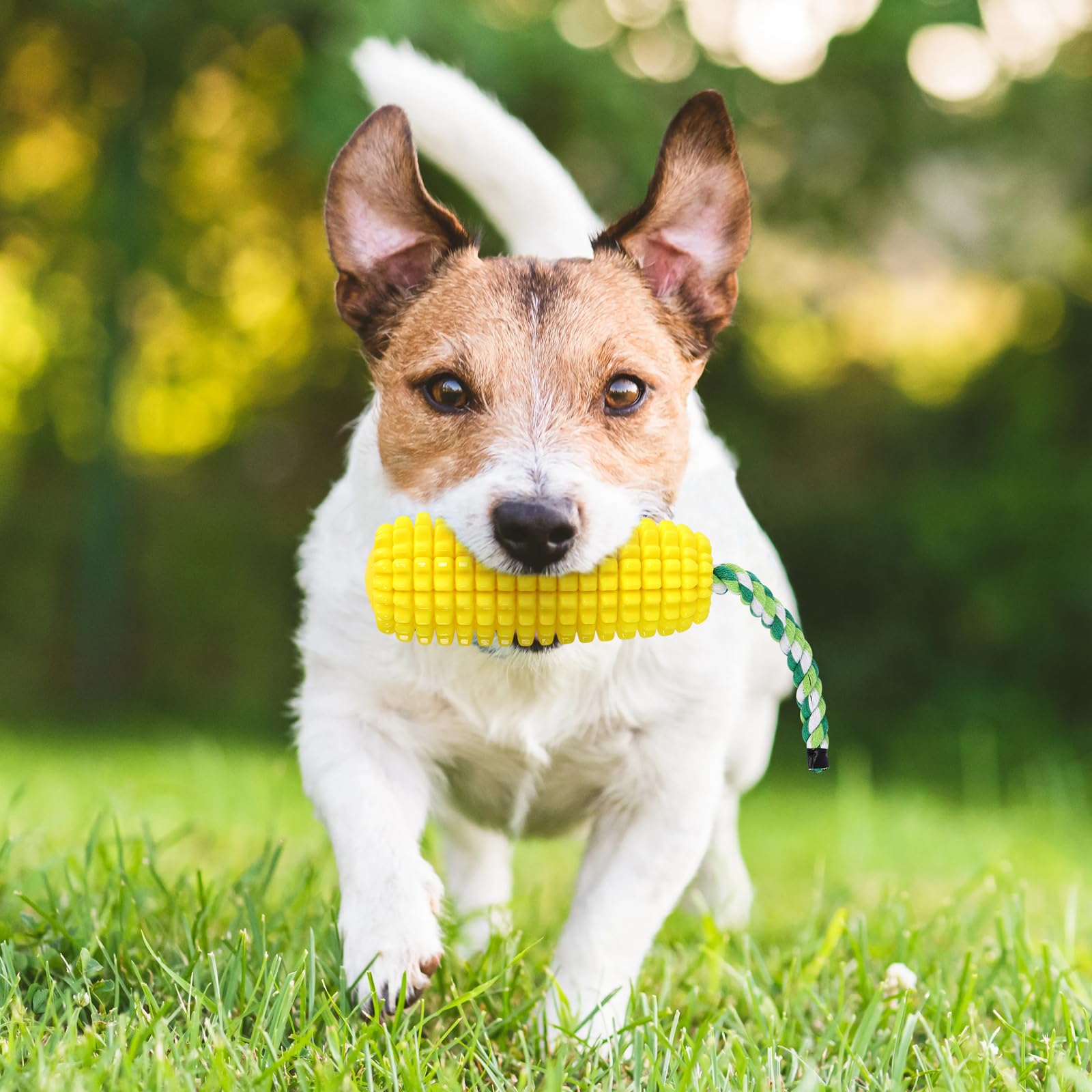 Unzerstörbares Hundespielzeug ‚Maiskolben‘ – Mit Quietschfunktion & Milchgeschmack Für Mittlere/große Hunde