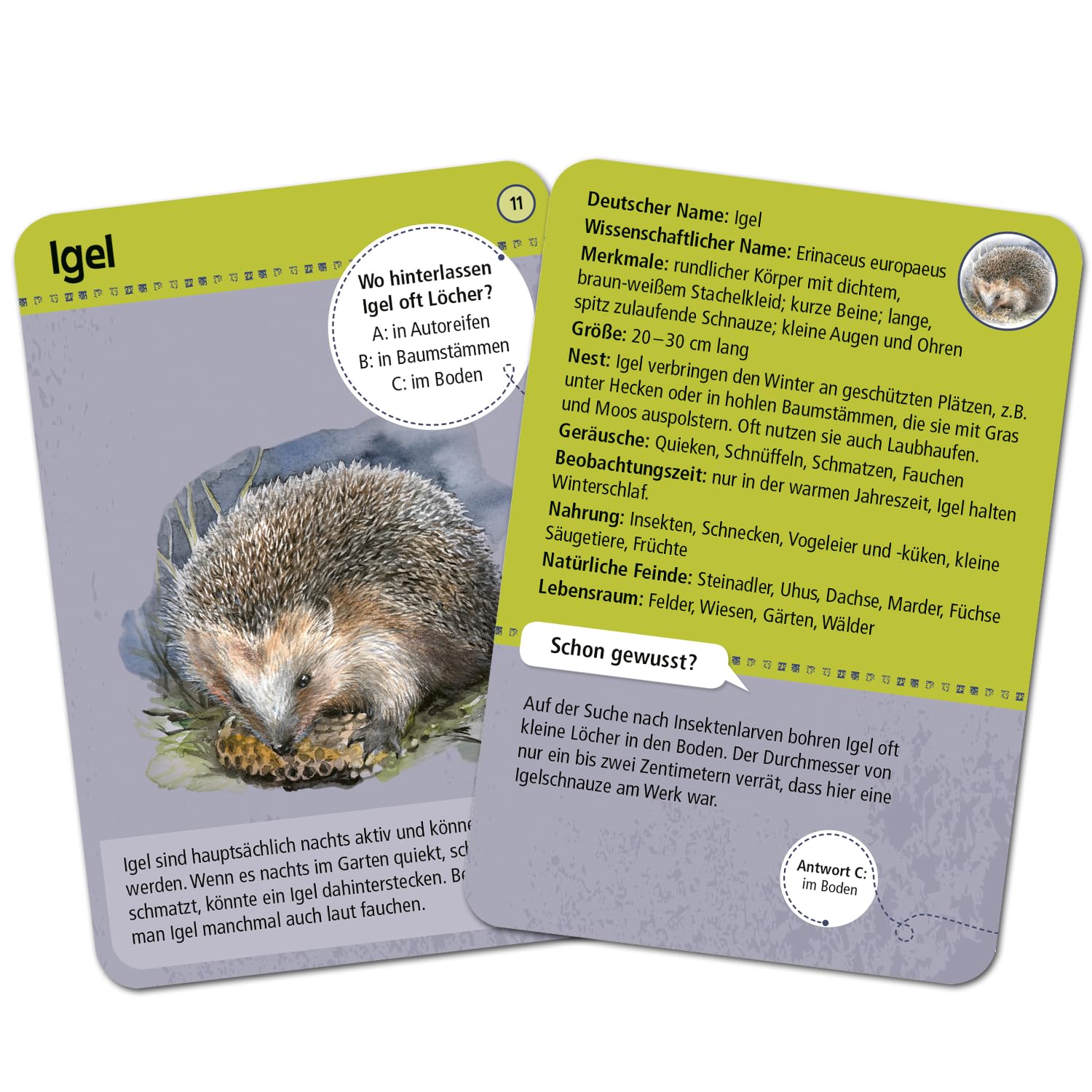 One Piece Card Game - Fundas De Cartas Los Tres Capitanes