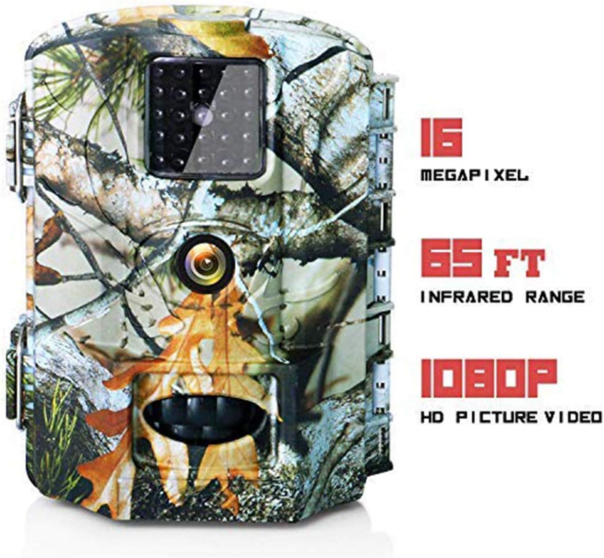 Trail camera per la casa