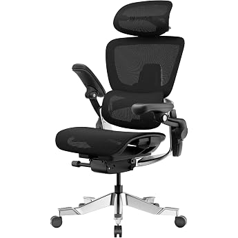 HINOMI H2 Pro Office Chair Ergonomic Lumbar Support Adjustable Headrest and Armrests 150 kg Load Capacity Breathable Mesh Swivel Chair for Home and Office Ergonomic Desk Chair Black
