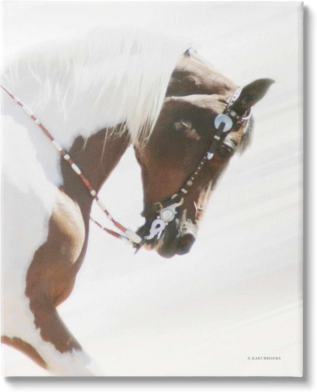 Stupell Industries Galloping Horse with Halter Canvas Wall Art by Kari Brooks