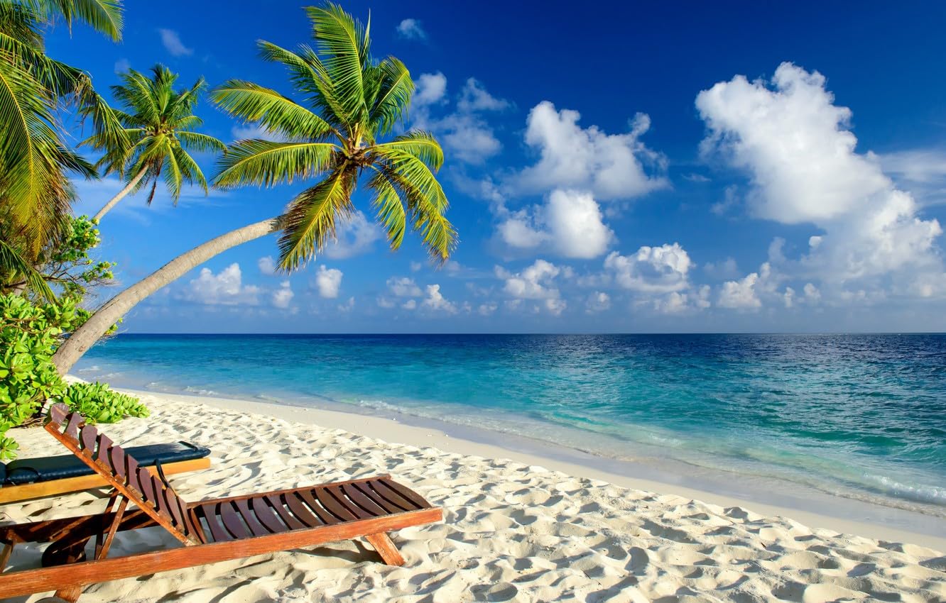 Clementoni Panorama-Puzzle 1000 Teile – Motiv 'tropischer Strand Mit Palme', Fertig 98 X 33 Cm, Aus Recycelten Materialien