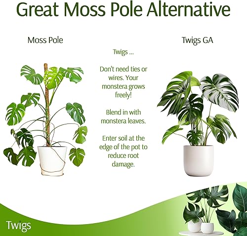 Miniatura 6 de Estacas apilables de soporte para plantas Monstera, soporte de escalada para uso en interiores y exteriores, accesorios para plantas, alternativa