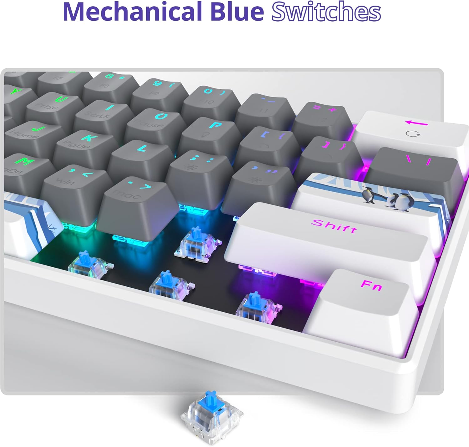 60% Mechanical Keyboard 61-Key Wired Gaming Keyboard with Blue Switch RGB Lighting Effect Pbt Backlit Keycaps Suitable for Win/Mac (Grey-Blue swicth)