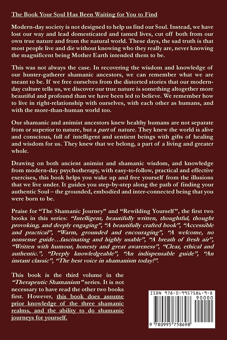 Finding Your Deep Soul: Guidance for Authentic Living Through Shamanic Practices: 3