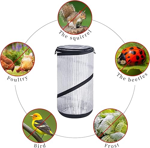 Miniatura 4 de DECOHS 2 piezas de mini invernadero emergentes de PVC de 19.7 x 7.7 pulgadas con cremallera, cubierta de invernadero portátil para plantas de