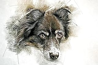 Yingxin34 Jigsaw Puzzles 2000 Pieces - Puzzle for Adults - Unique Jigsaw Puzzles – Grey Dog - Colorful and Challenging 2000-Piece Puzzle – Thick Cardboard with Premium Printing-70x100cm