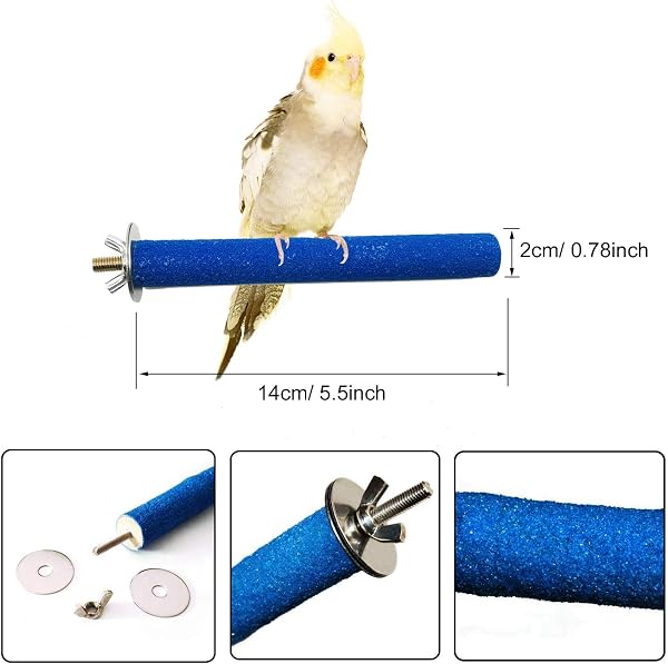 Allazone 6 x Wooden Bird Perches for Parrots or Chinchilla Pet Hamster Chinchilla - 2