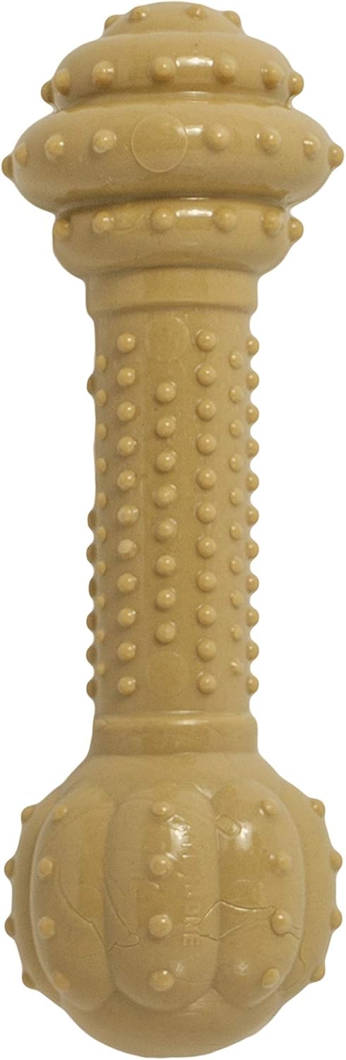 Nylabone Power Chew Barbell Bone Chew Toy for Dogs, Durable Dog Toy, Peanut Butter Flavor, Large - Up to 50 lbs. (1 Count) (Pack of 2)