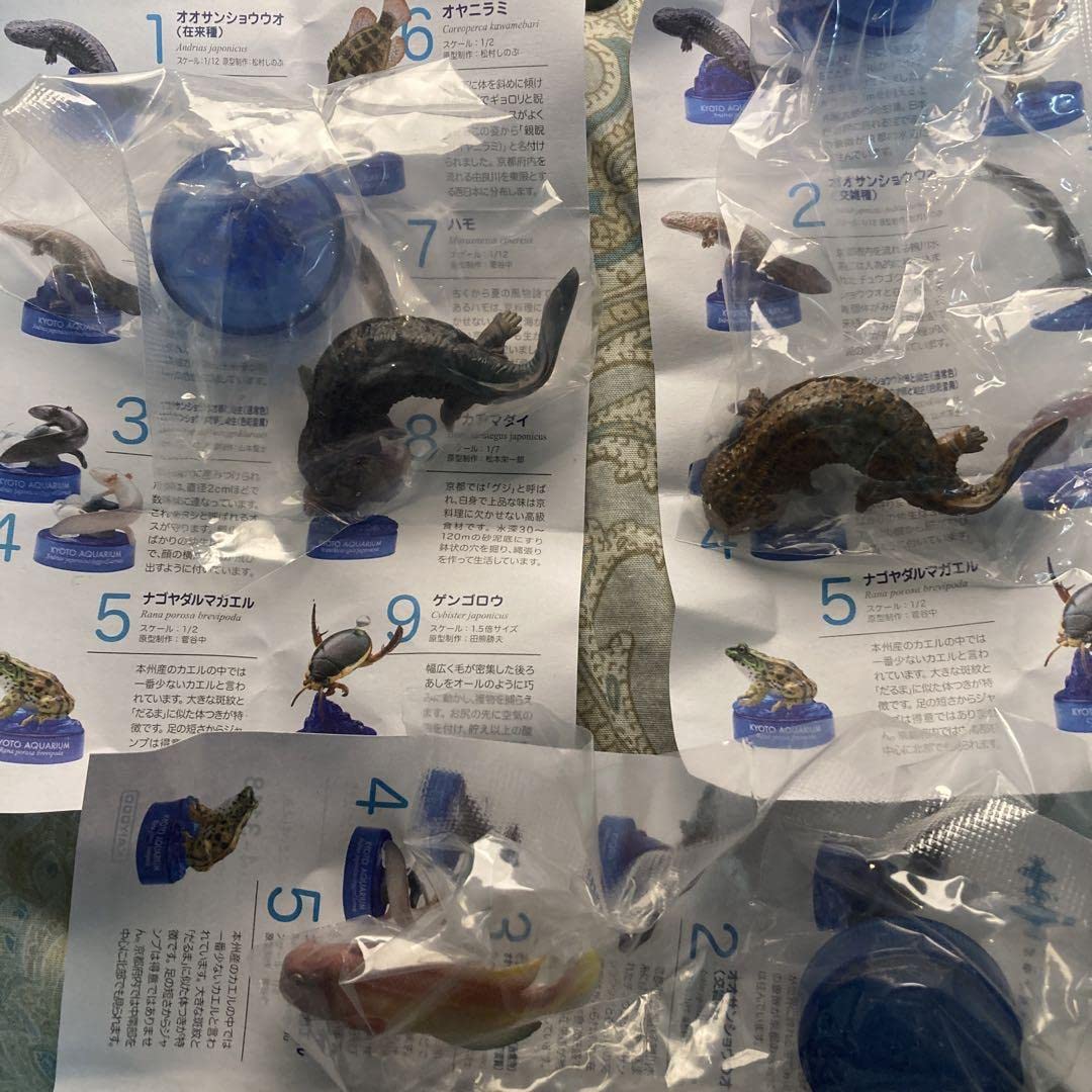 Amazon.co.jp: 海洋堂 京都水族館 オオサンショウウオ在来・交雑 