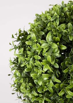 Radial Indoor/Covered Outdoor Faux Boxwood Topiary Plant in Pot - 22