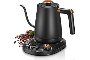Electric Gooseneck Kettle