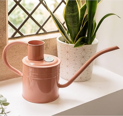 Miniatura 4 de Kent and Stowe Regadera de metal para interiores, 1 litro, color verde salvia