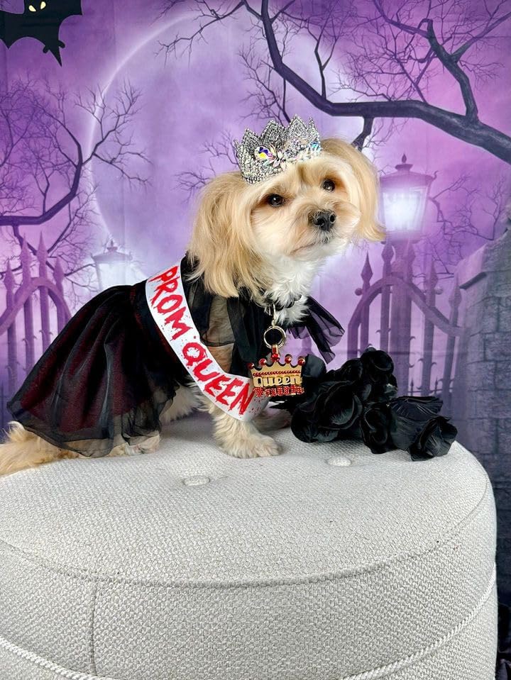 Miniatura 2 de Fitwarm Disfraz de reina de Halloween para perro, ropa divertida para perros pequeños, vestido tutú gótico para mascotas con banda, traje de gato,
