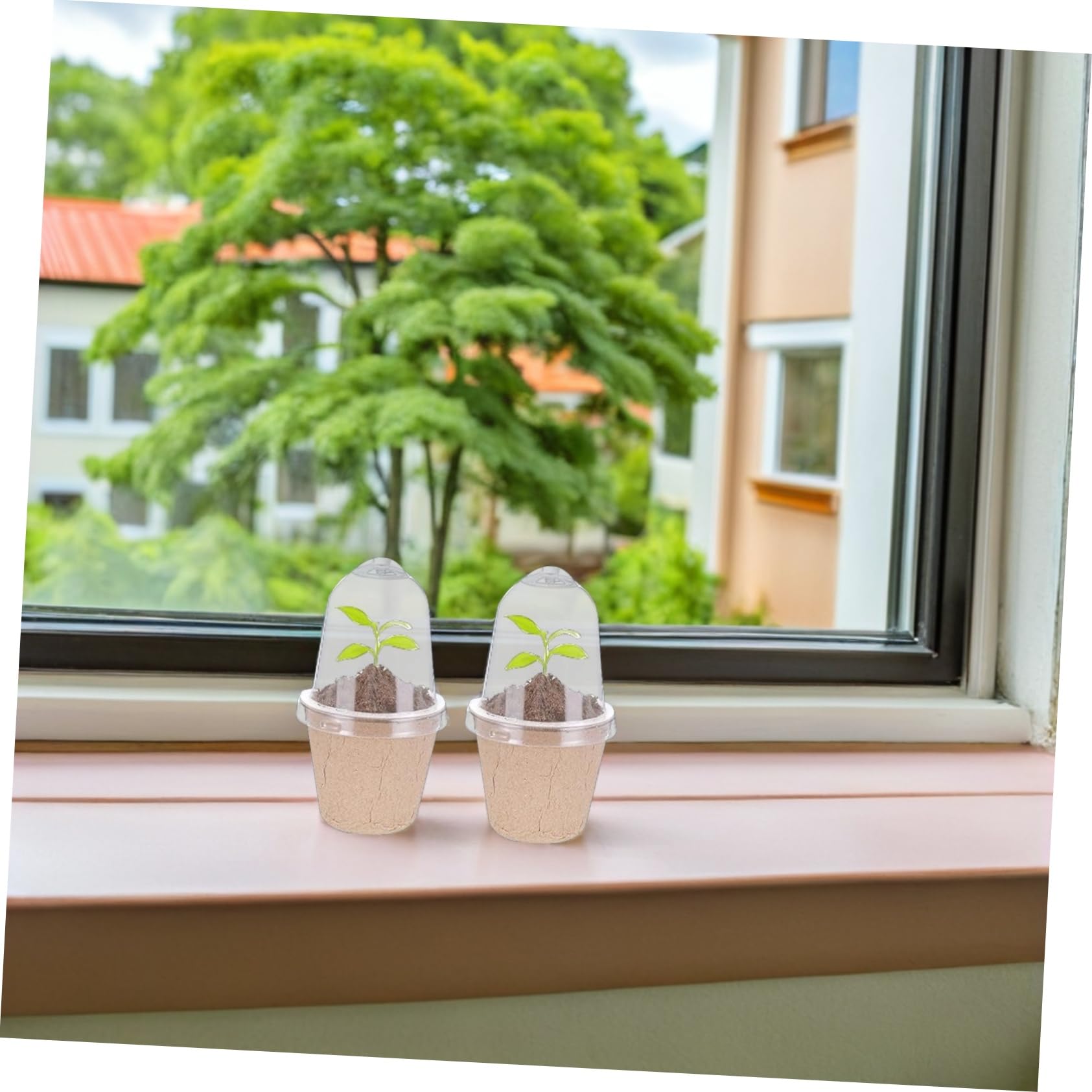 Milisten 40 Runde Anzuchttöpfe für Jungpflanzen aus Papierfaserstoff | Papierbrei und Pet, 40 Stück Packung, Atmungsaktiv und Wasserhaltend, für Drinnen und Draußen