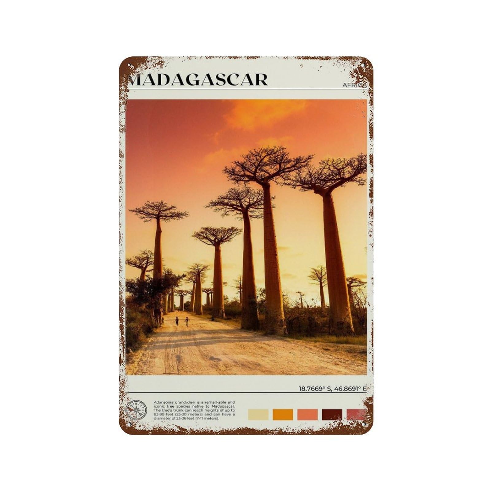 xiaoxiaoshen Real Photo Madagascar Decor Wall Decor Art Metal Tin Poster Modern Home Decor Art Home Bar Shop Decorations Vintage Sign 30x20cm