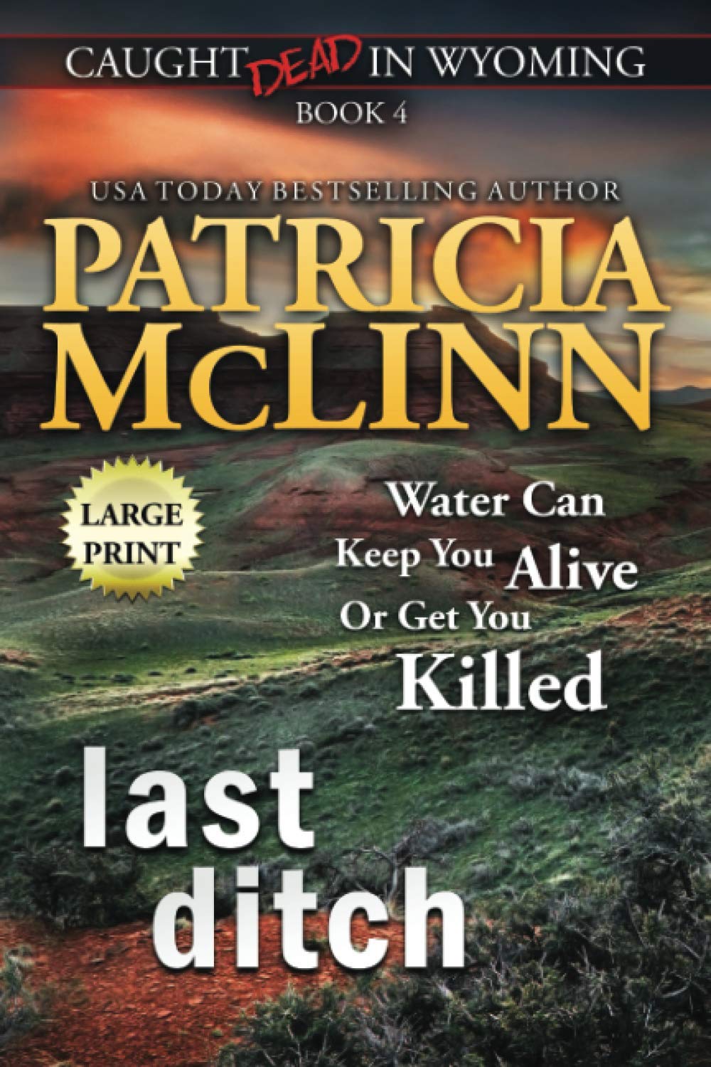 Buy Last Ditch: Large Print (Caught Dead In Wyoming, Book 4) — BookShops.in