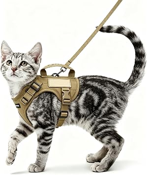 Cat Harness and Lead Set Escape Proof UK, Secure Cat Leash and Harness Set, Adjustable Cat Lead and Kitten Harness with Comfortable Design, Durable Outdoor Walking Accessory for Feline Companions