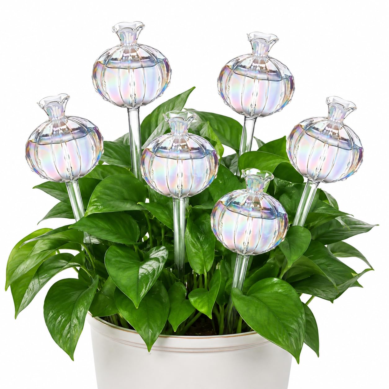 Lot de 6 globes d'arrosage en verre en forme de cactus - Piquets d'arrosage automatique en borosilicate - Ampoules d'irrigation automatique pour plantes en pot d'intérieur et d'extérieur - Outil