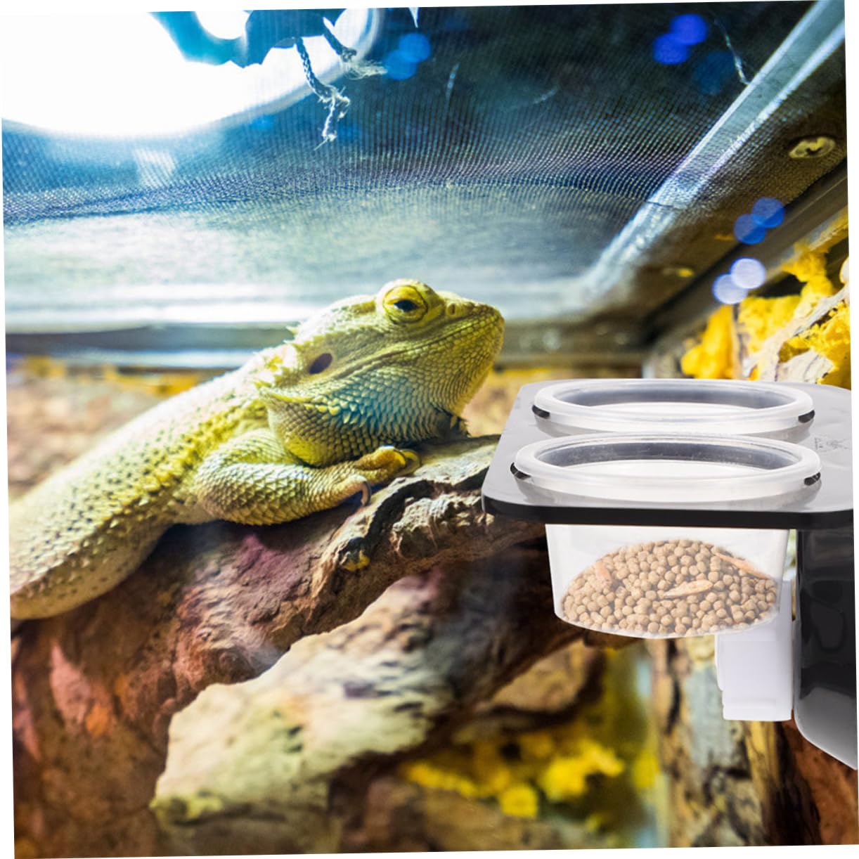 POPETPOP 5sets Accessori per Rettili Mangiatoia per Gechi con e Ciotole per Alimentatore per Rettili con Ciotole Compatte per Terrario