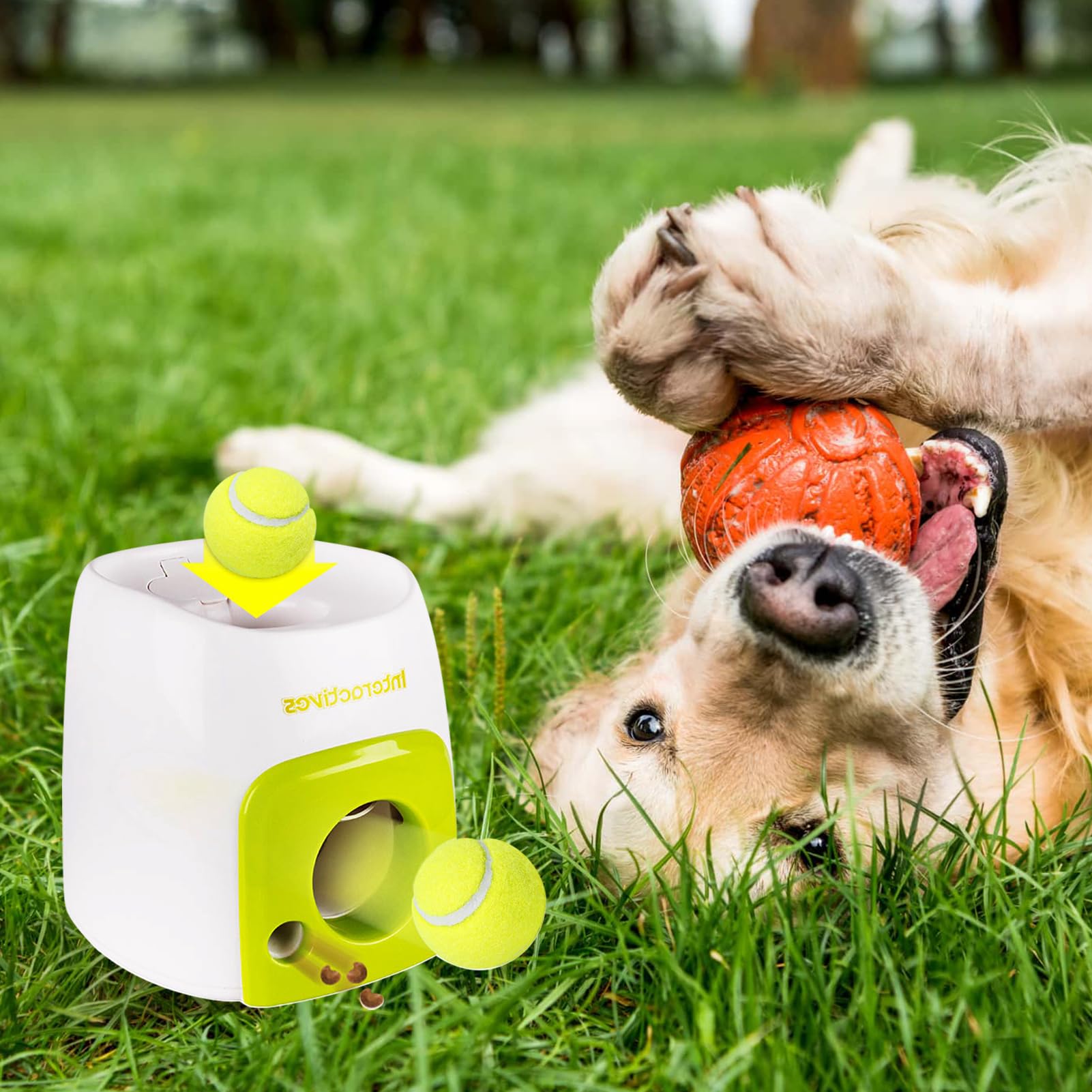 TITA-DONG Distributeur Interactif de Balles et de Friandises pour Chien, Machine de Récompense de Tennis, Distributeur de Jouets, Jeu d'exercice, Jouet pour Chien, Mangeoire Intelligente
