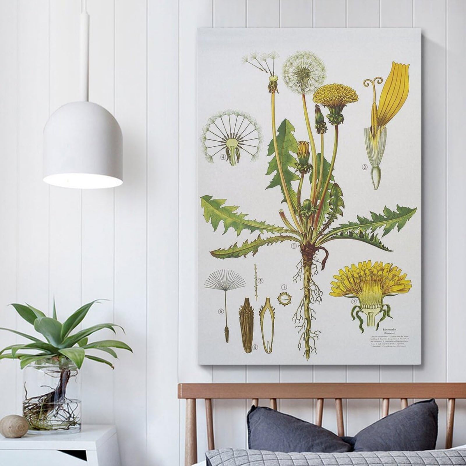 HNPBB Plakat w stylu vintage, ilustracja mniszka lekarskiego, plakat dekoracyjny, płótno, plakat ścienny i druk artystyczny, nowoczesna dekoracja sypialni rodzinnej, plakat, 30 x 45 cm