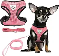 Coleira Peitoral Anti Puxão com Guia para Cães e Gatos – Ideal para Filhotes, Pinscher, Shi Tzu e Raças de Porte Pequeno a Médio – NEXUS MARKET (M, ROSA)
