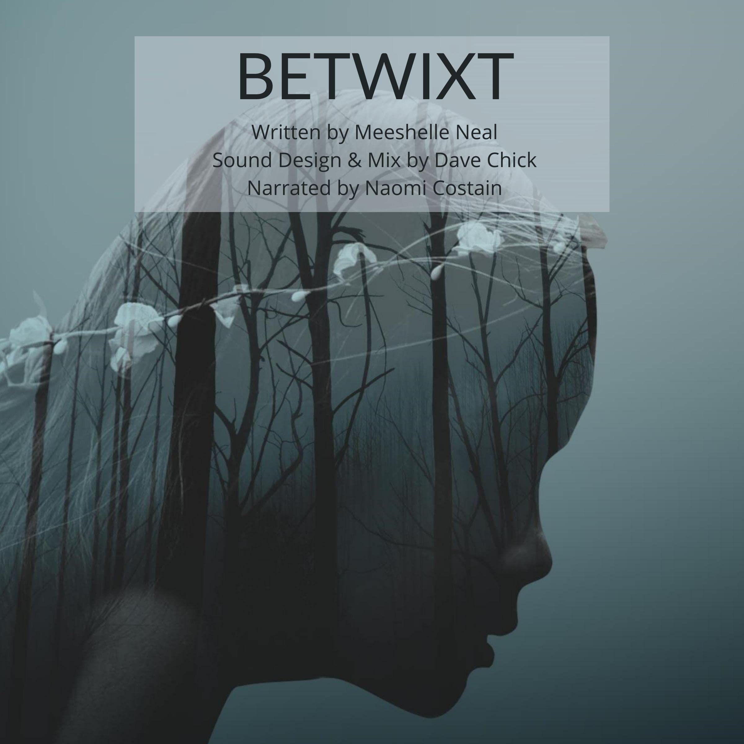 Cover art for Betwixt