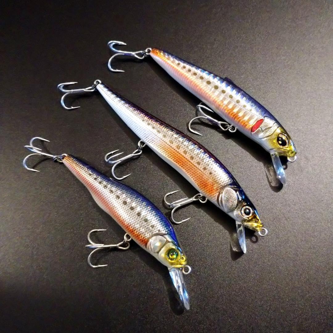 GGアカハライワシ ３個セット ワンテン X-80 エドニス SW