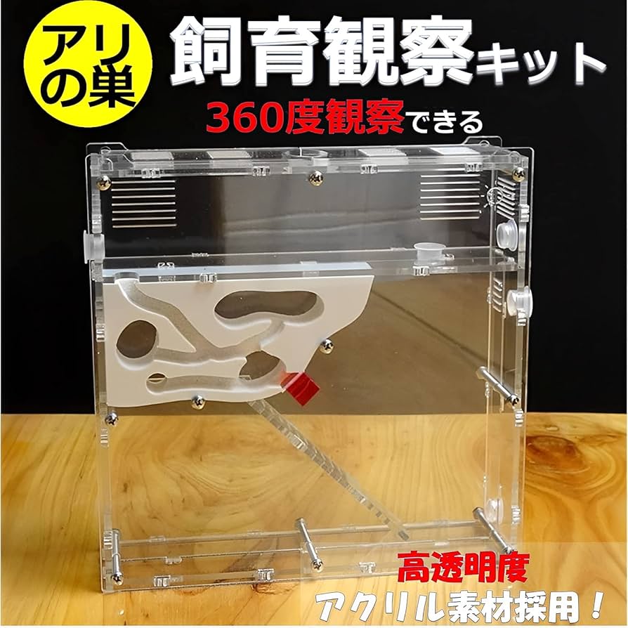 アリ飼育ケース(アリマンション)【アリの巣】 Amazon.co.jp: アリ飼育キット アリの巣観察キット アリ 自由