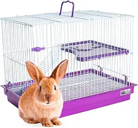 GAIOLA PARA COELHO PORQUINHO DA INDIA E CHINCHILA COM ANDAR LILÁS