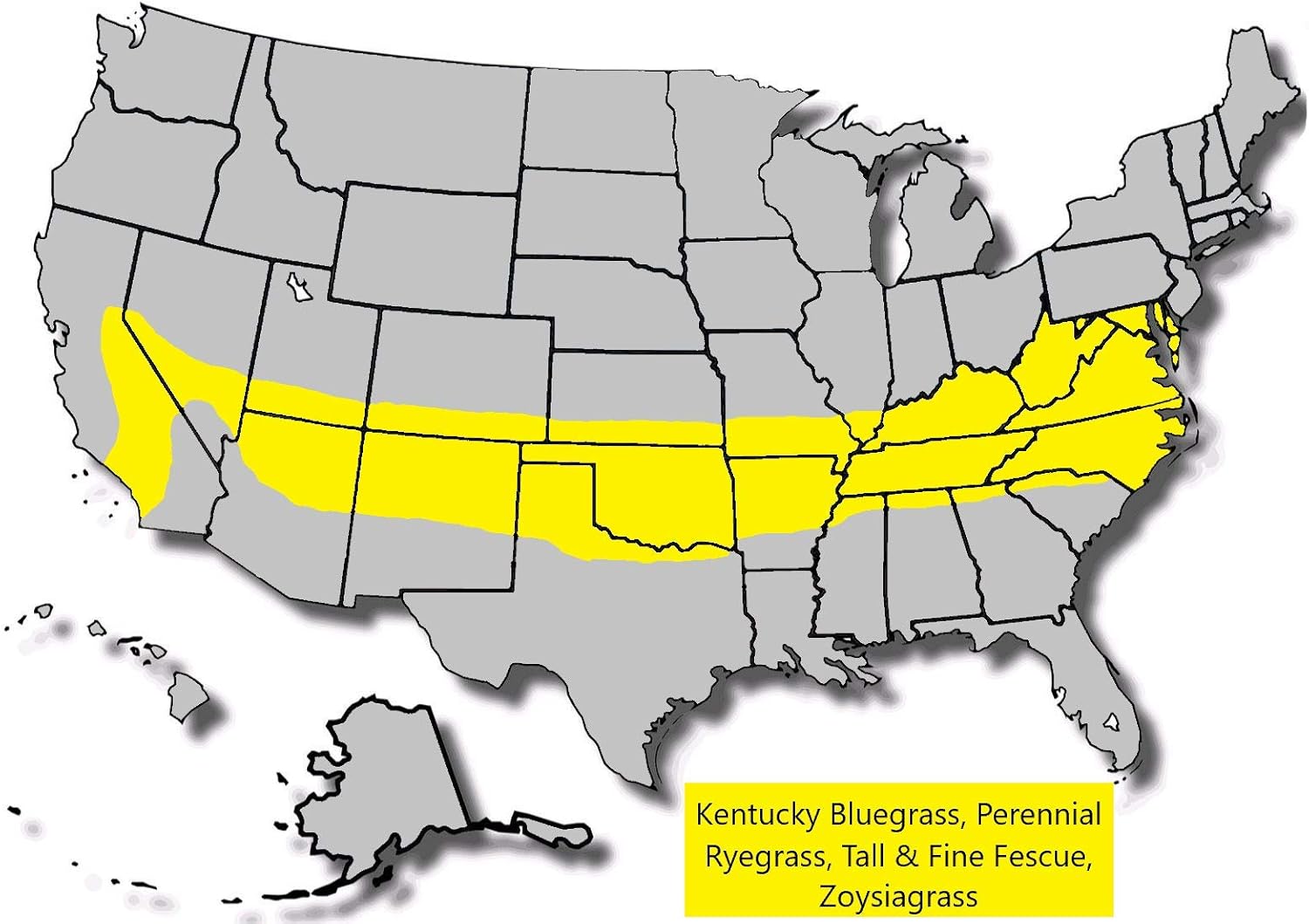 Burlingham Seeds Prime Time 90/10 Mix , 90percent Tall Fescue 10percent Kentucky Bluegrass , Blue TAG Certified Grass Seed (50 lbs (5,000 sq ft)),Brown