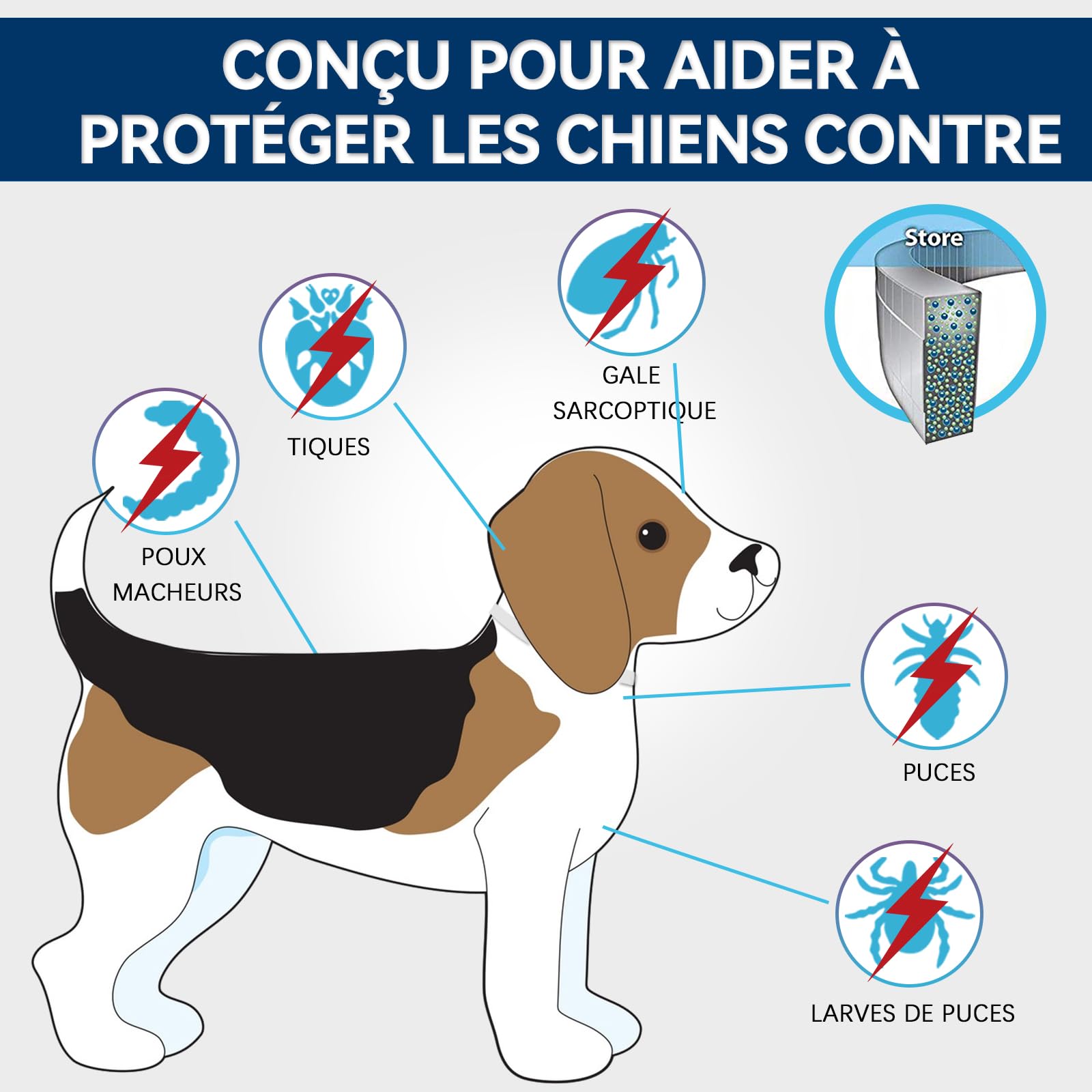 Collier Anti Puces pour Chien Réglable, Élimine Puces, Tiques, Poux, Résistant à l'eau, Huiles Essentielles 100% Naturelles, pour Chiens Grands, Moyens et Petits (63.5CM,2PACK)