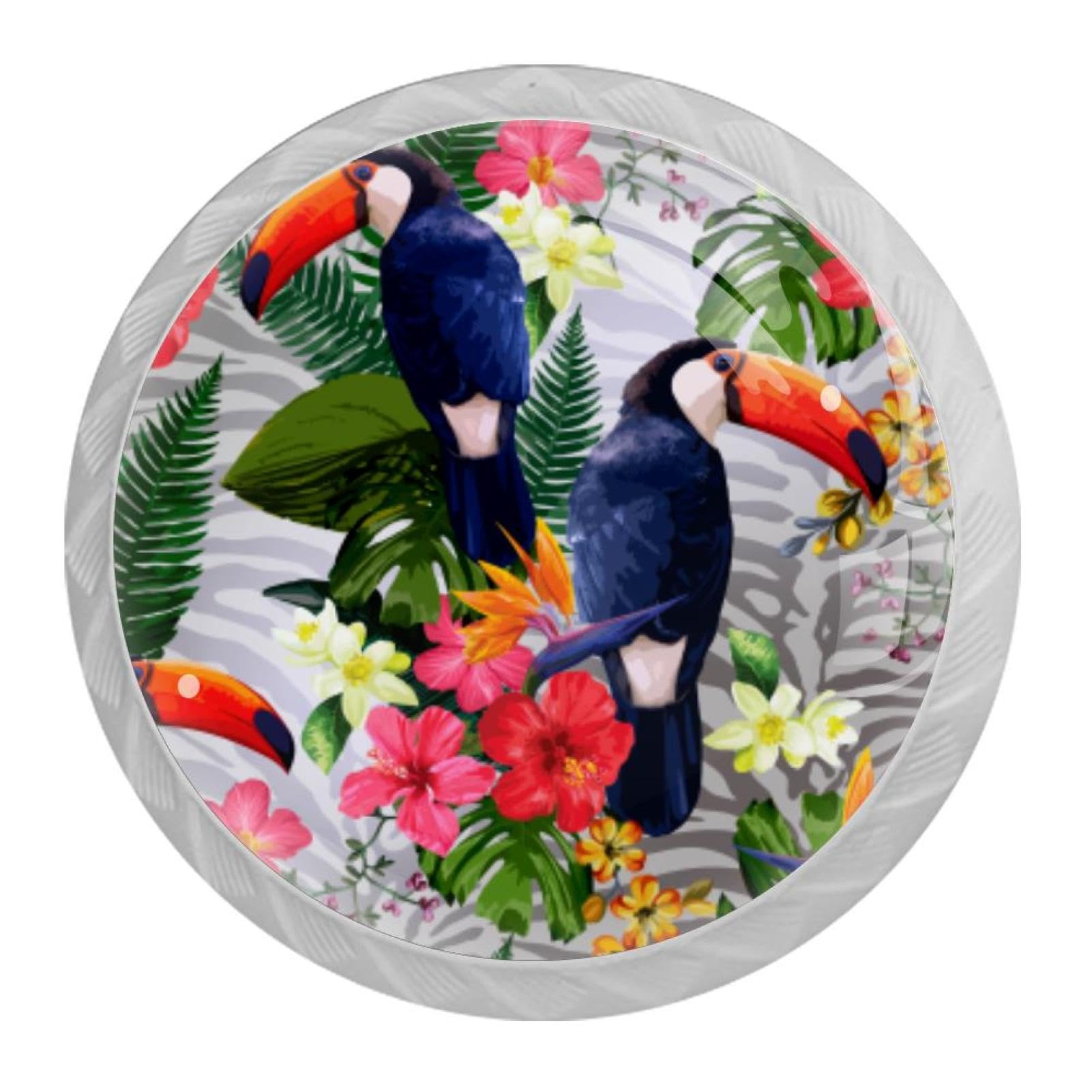 Tqmspg 4 Pieces Drawer Pulls Tropical Flowers Toucan Birds Door Knobs Dresser Handles for Kitchen Wardrobe Cupboard Hardware Furniture