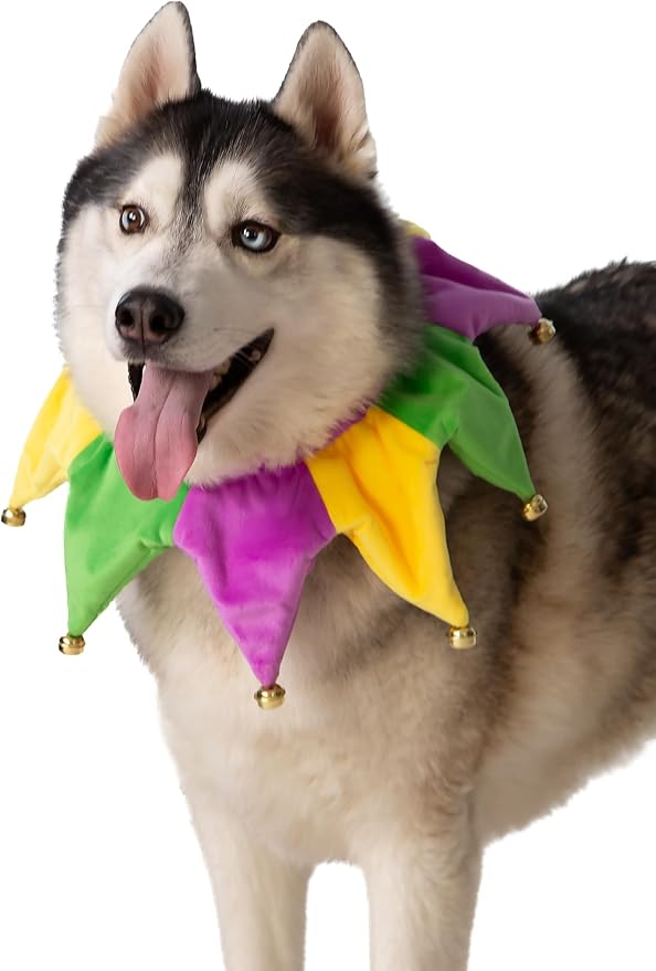 Disfraz para Perro ComfyCamper Mardi Gras Collar Temático Circo Talla M miniatura 2
