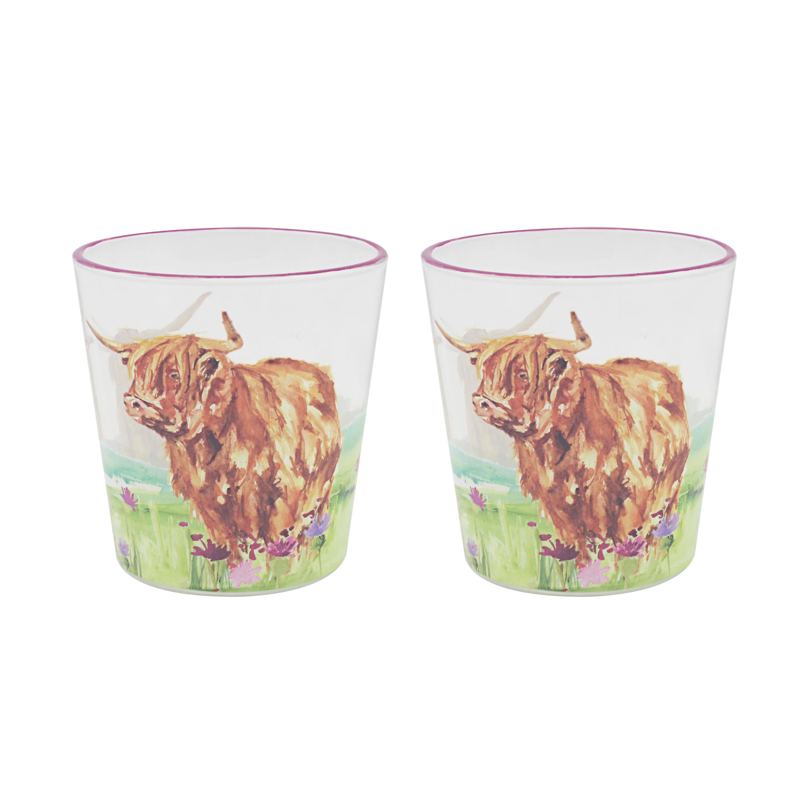 Drinking Glasses Set of 2 Highland Cow Tumblers Colourful Kitchen Gift Idea