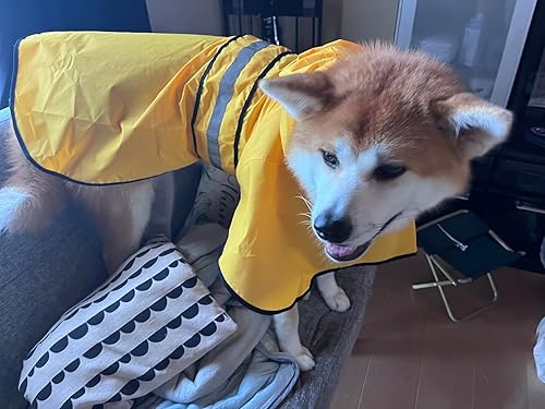 Miniatura 10 de Impermeable impermeable con capucha para perro, chaqueta reflectante para perro, impermeable ajustable para perros, abrigo ligero para mascotas para