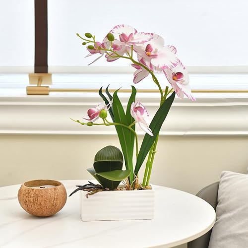 Vista 96 de Flores artificiales de orquídea de tacto real en maceta, flor falsa de Phalaenopsis con jarrón de cerámica blanca, arreglo de orquídeas sintéticas