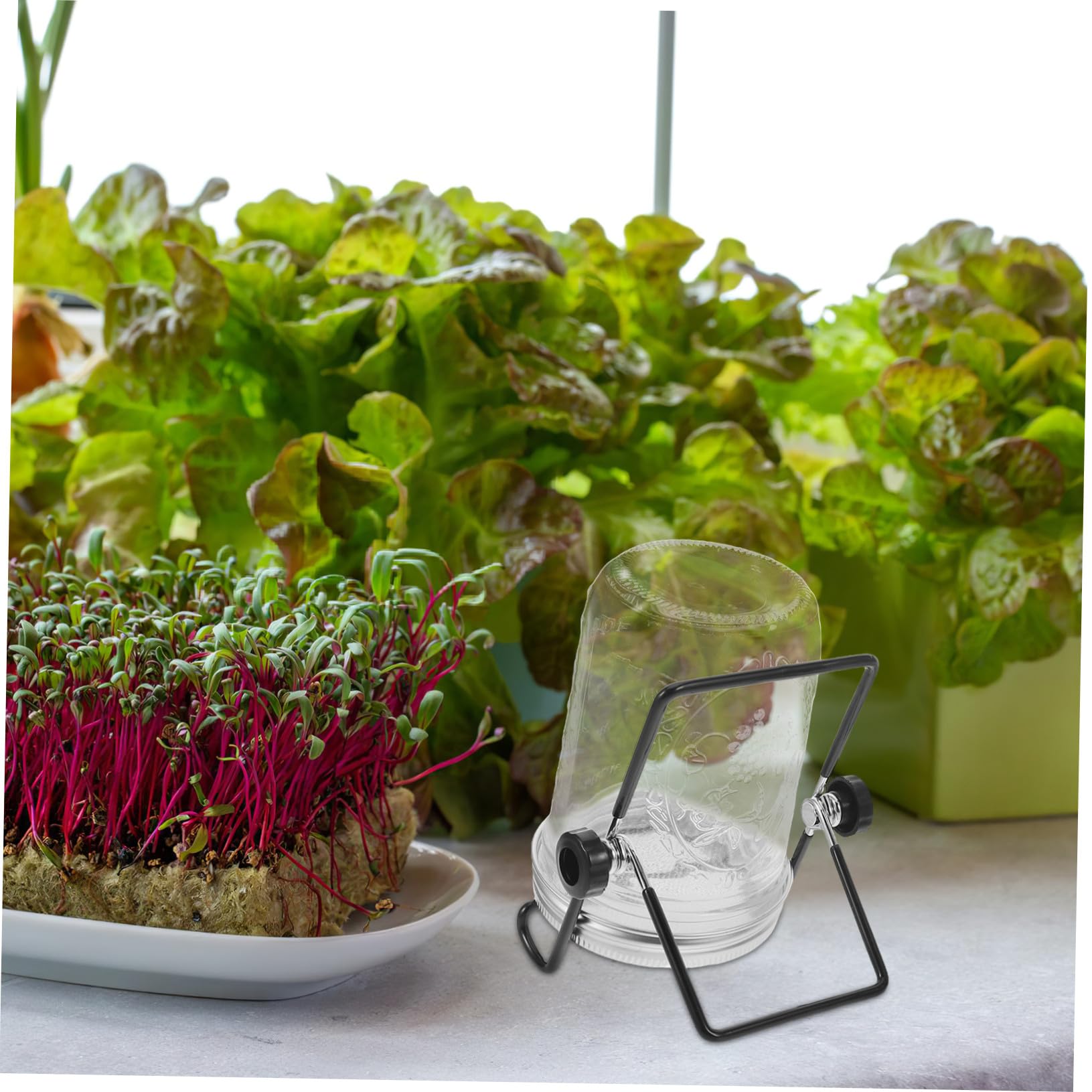 SOIMISS Kit de Cultivo para Germinación de Brotes de Soja 2 Juegos | Acero Inoxidable y Vidrio, Tapa de Malla Ventilada, para Encimeras de Cocina y Balcones Espacio