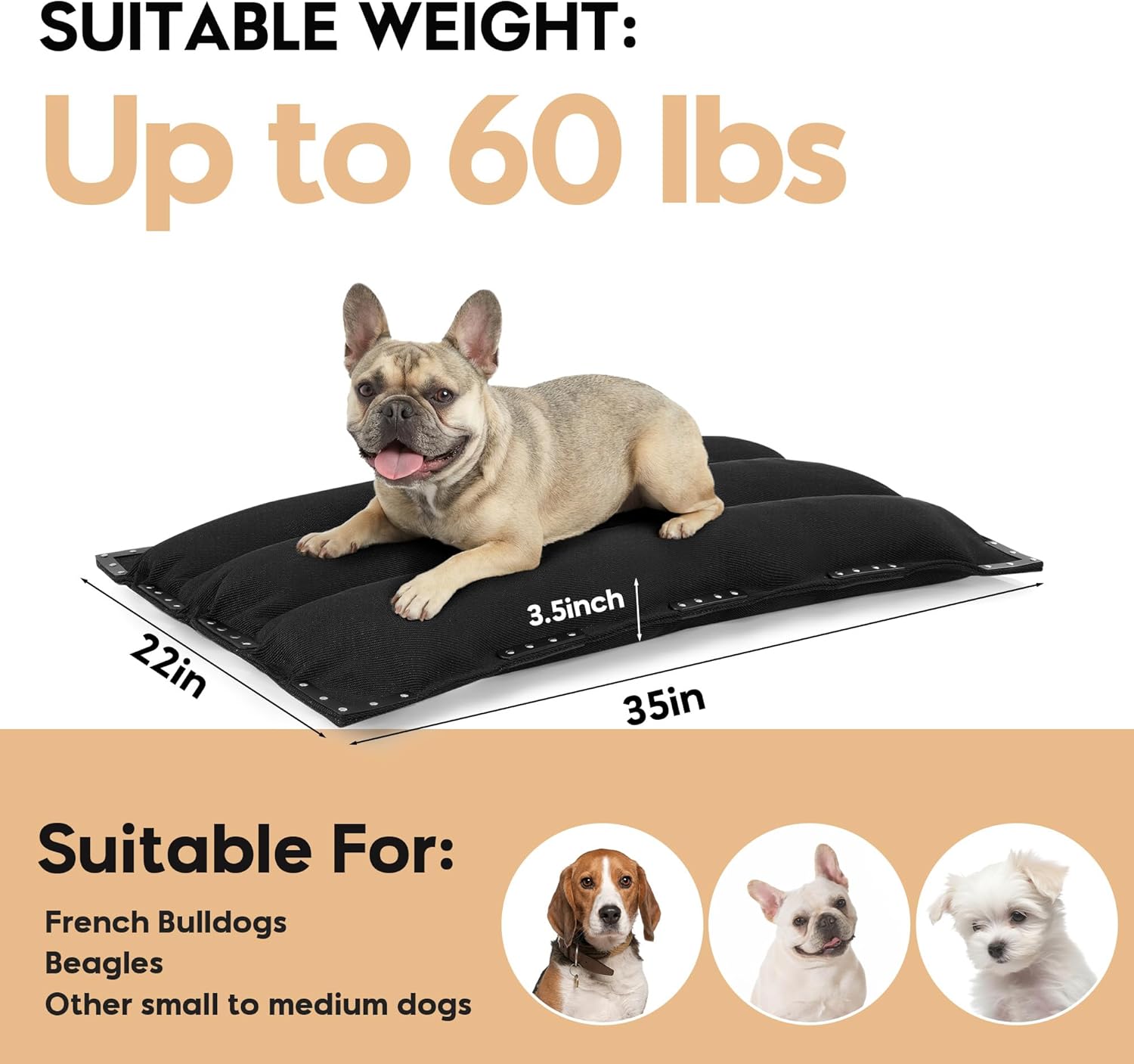 MABOZOO Chew-Proof Dog Bed with Metal Rivets, Durable Kennel Mat for Aggressive Chewers, Waterproof Crate Pad with Shredded Foam Fill for Medium Dogs (Indoor/Outdoor Use)