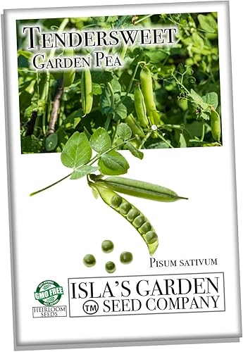 Semillas de guisantes tiernos, más de 25 semillas de reliquia por paquete, sin OMG, (semillas de jardín de Isla), semillas de germinación Nombre