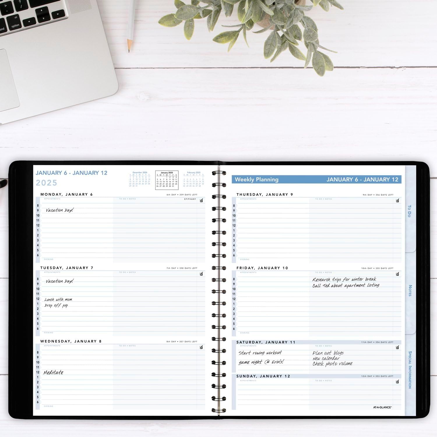 AT-A-GLANCE 2025 Appointment Book Planner, Weekly, 8" x 11", Large, The Action Planner, Black (70EP010525)