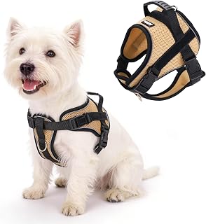 AIITLE Reflective Anti Pull Harness for Dogs with Handle - Soft Breathable Adjustable for Small & Medium Dogs (Kaki, S)