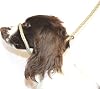 Dog & Field Figure 8 Anti-Pull LeadHalterHead CollarHarness Natural