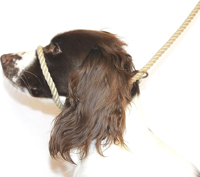 Dog & Field Figure 8 Anti-Pull Lead/Halter/Head Collar/Harness (Natural)