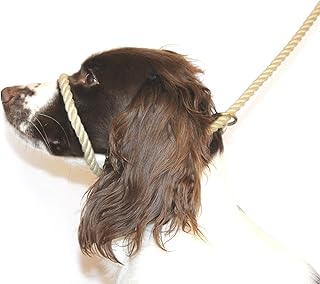 Dog & Field Figure 8 Anti Pull Leash/Halter/Head Collar- One Size Fits All - Super Soft Braided Nylon - Fitting Instructions Included -Comfortable, Kind, Supple, Secure No More Pulling! (Natural)