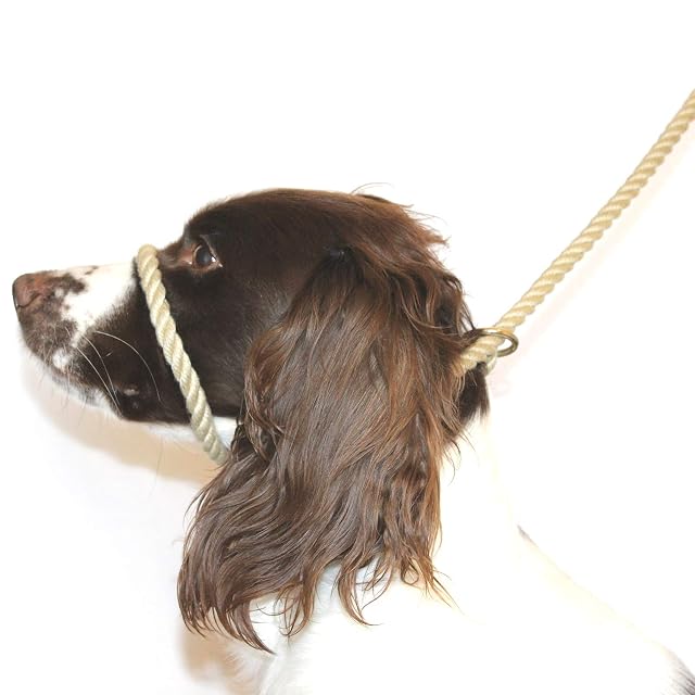 Dog & Field Figura 8 Cuerda de algodón Halter Lead, Natural